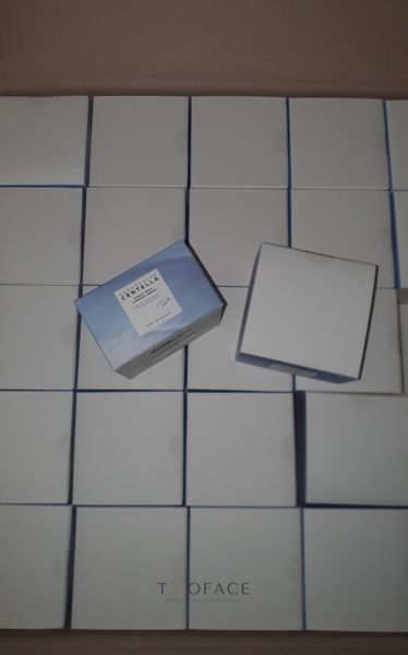 Крем для зволоження і підвищення пружності SKIN1004 Hyalu-Teca Firming Cream 50 мл 151 фото
