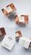 Крем с пробиотиками SKIN1004 Madagascar Centella Probio-Cica Enrich Cream 50 мл 030 фото 4